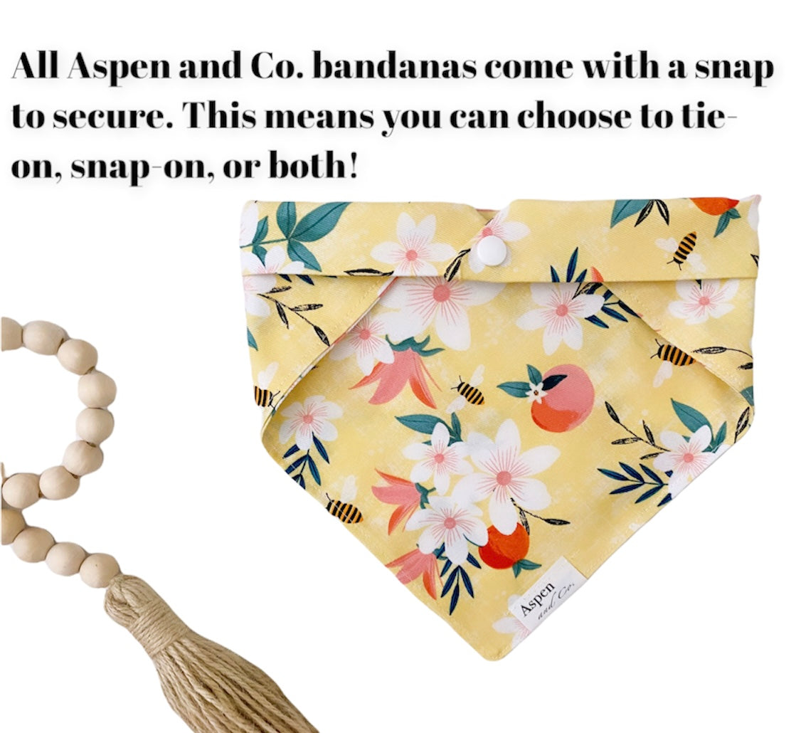 Spring Dog Bandana - Peach Blossom (Peaches)