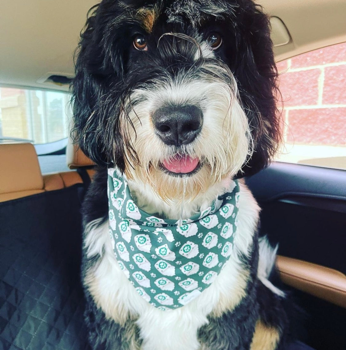 Dog Bandana - Pup Cup