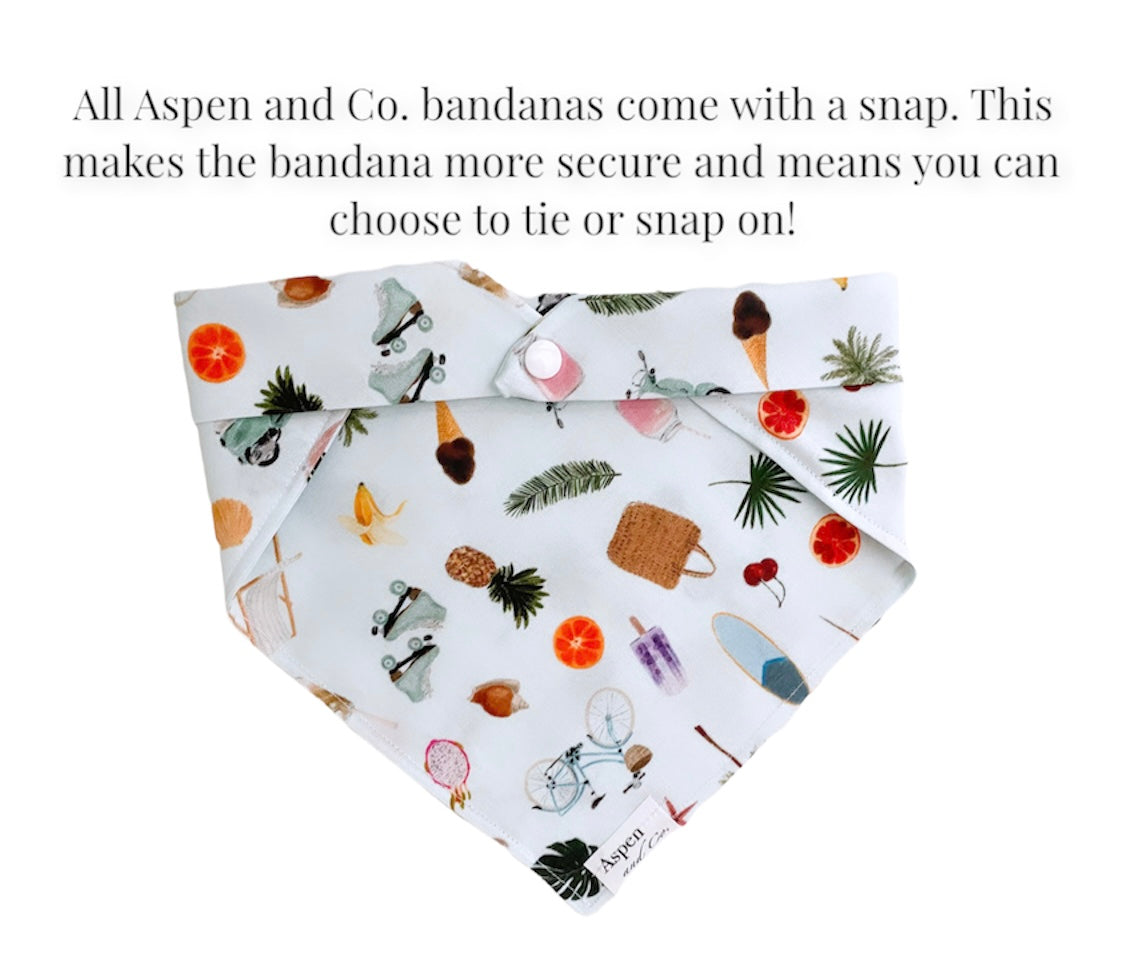 Dog Bandana - Summer Bash