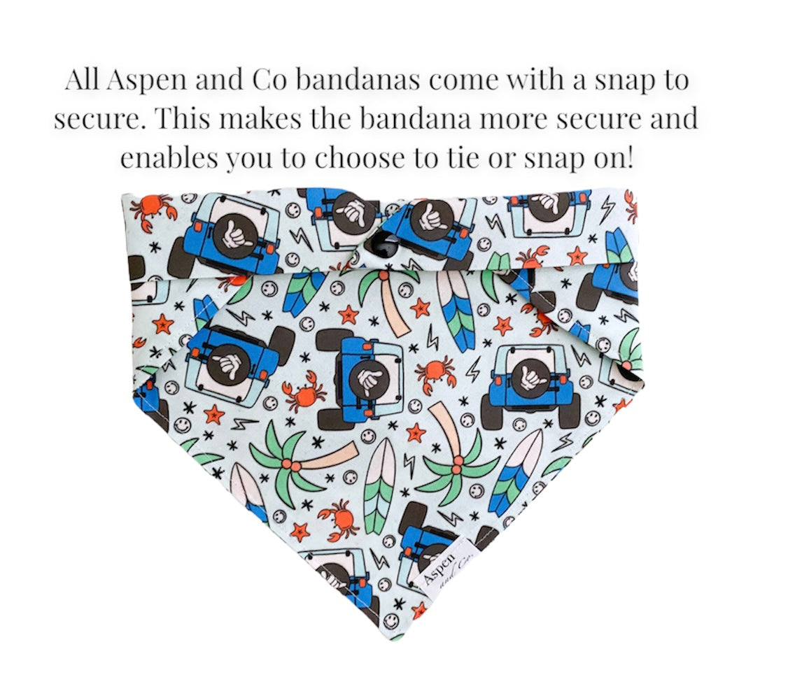 Dog Bandana- Summer Vibes