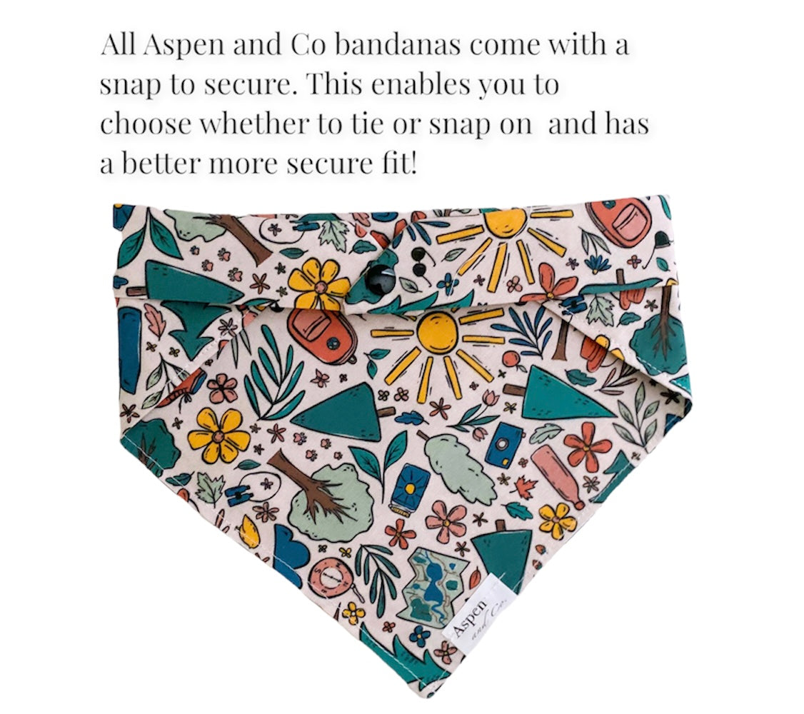 Dog Bandana - Take a Hike