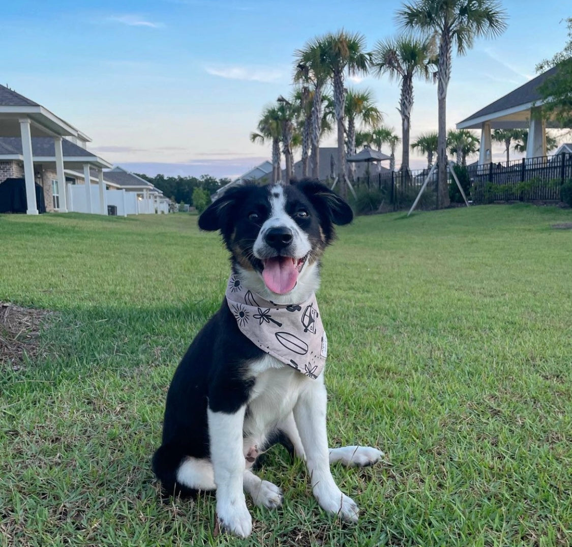 Dog Bandana - Vagabond