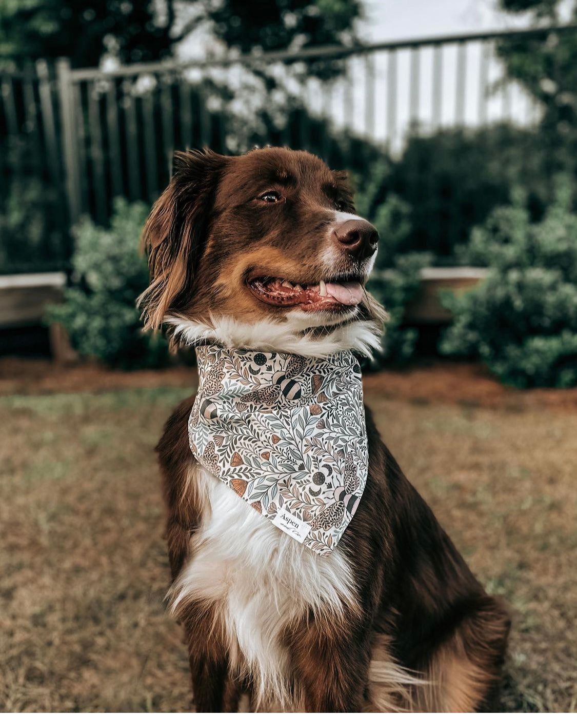 Dog Bandana- Honey