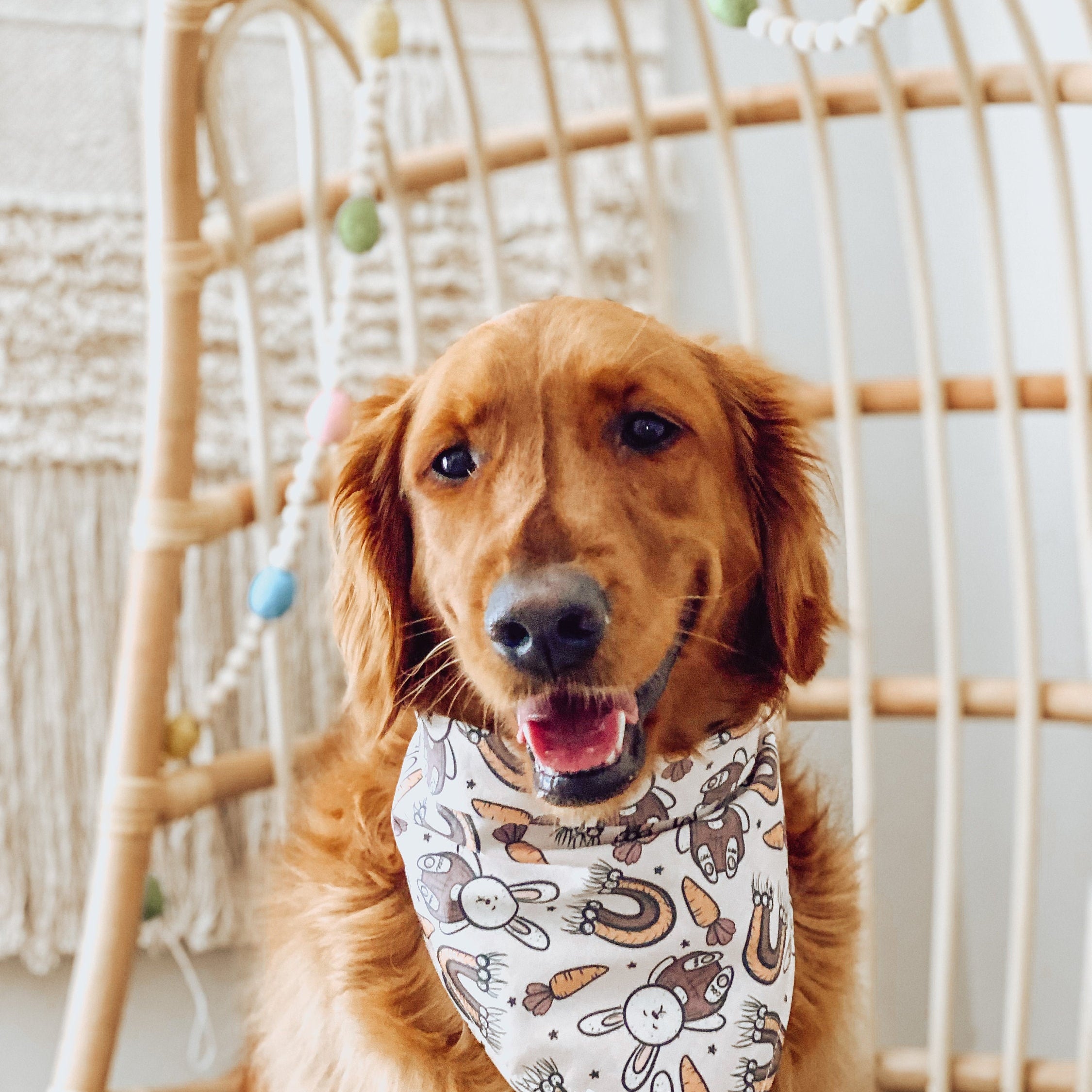 golden retriever wearing easter dog bandana, puppy bandana, golden retriever bandana, waterproof bandana, custom dog bandana, personalized bandana