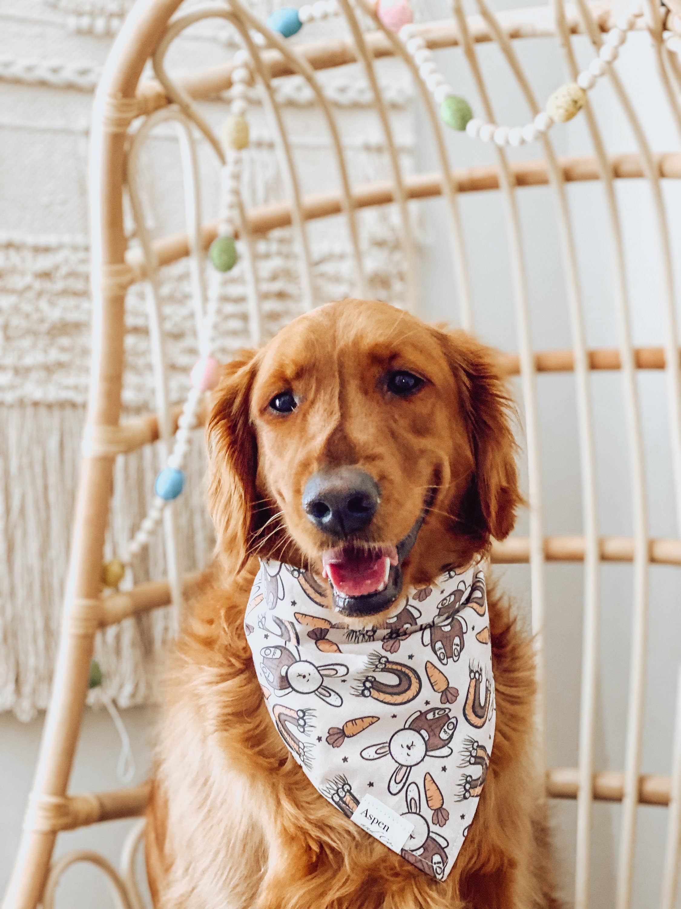 golden retriever wearing easter dog bandana, puppy bandana, golden retriever bandana, waterproof bandana, custom dog bandana, personalized bandana