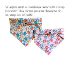 Mental Health Dog Bandana - Positive Pops - Popsicles Dog Bandana, Mental Health Shirt, Mental Health Matters, Dog Lover Gift