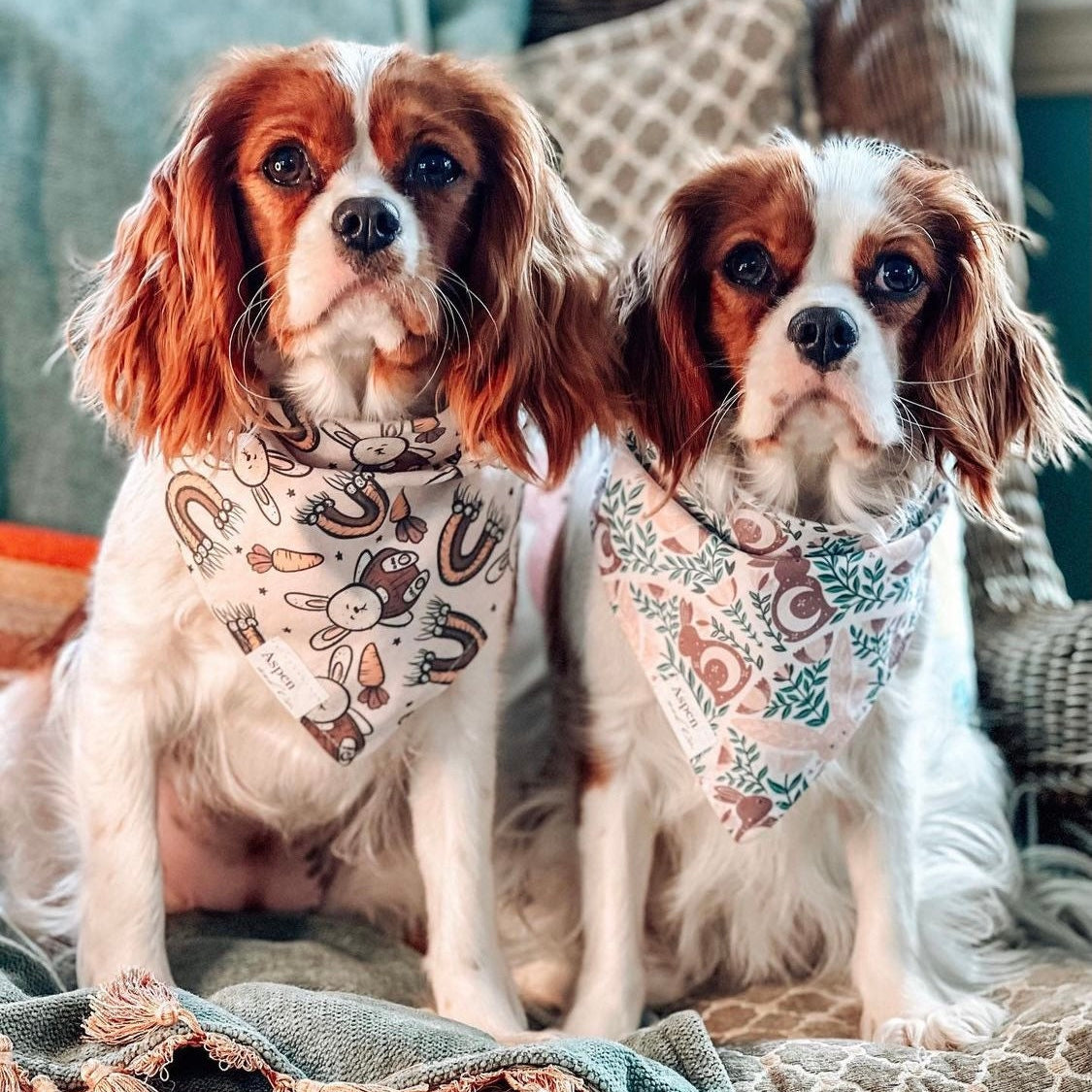 cavalier King Charles spaniel wearing easter bandana showing easter rabbits, puppy bandana, dog harness, waterproof bandana, custom dog bandana, personalized bandana