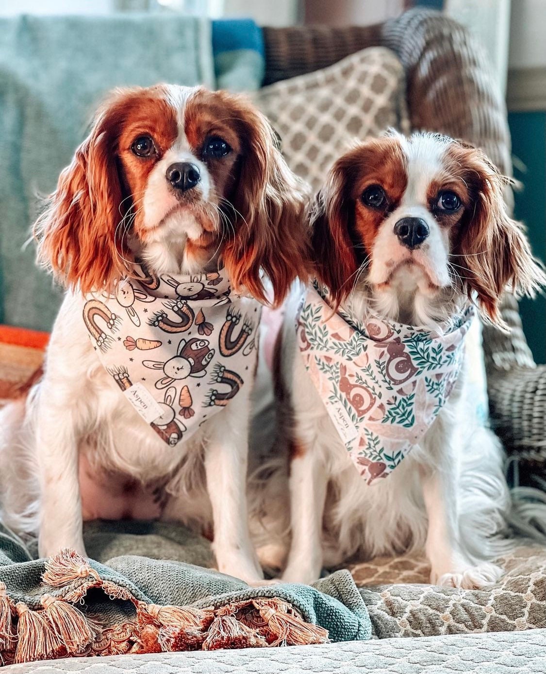 cavalier King Charles spaniel wearing easter bandana showing easter rabbits, puppy bandana, dog harness, waterproof bandana, custom dog bandana, personalized bandana