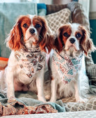 cavalier King Charles spaniel wearing easter bandana showing easter rabbits, puppy bandana, dog harness, waterproof bandana, custom dog bandana, personalized bandana