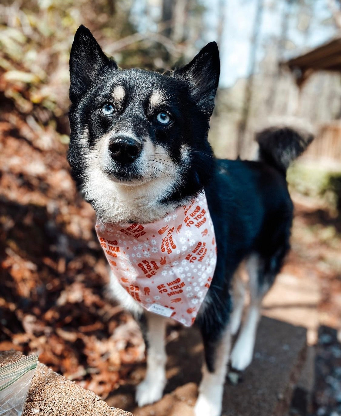 Mental Health Dog Bandana- Self Love