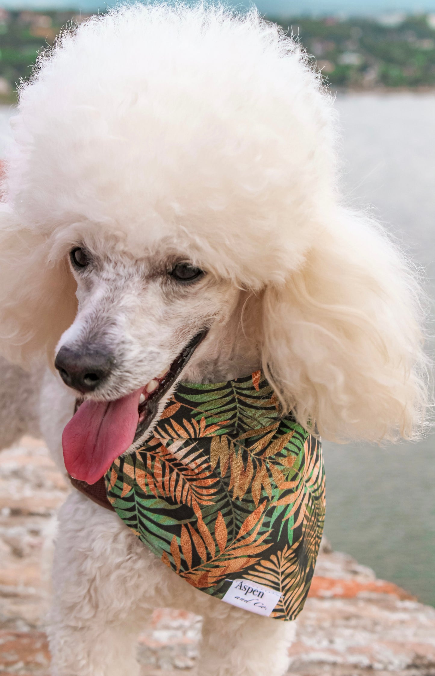Dog Bandana - Sloan