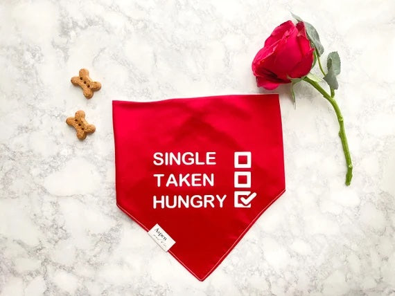 Dog Bandana- Single Taken Hungry