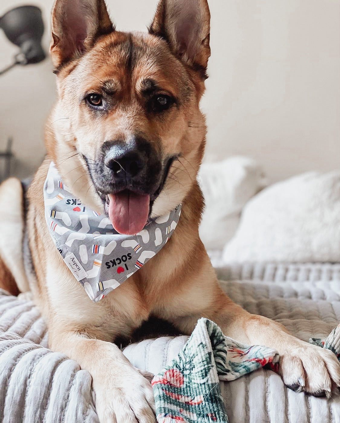 Dog Bandana - Sock Lover