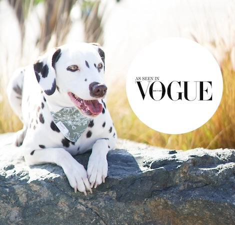 Featured in Vogue Magazine