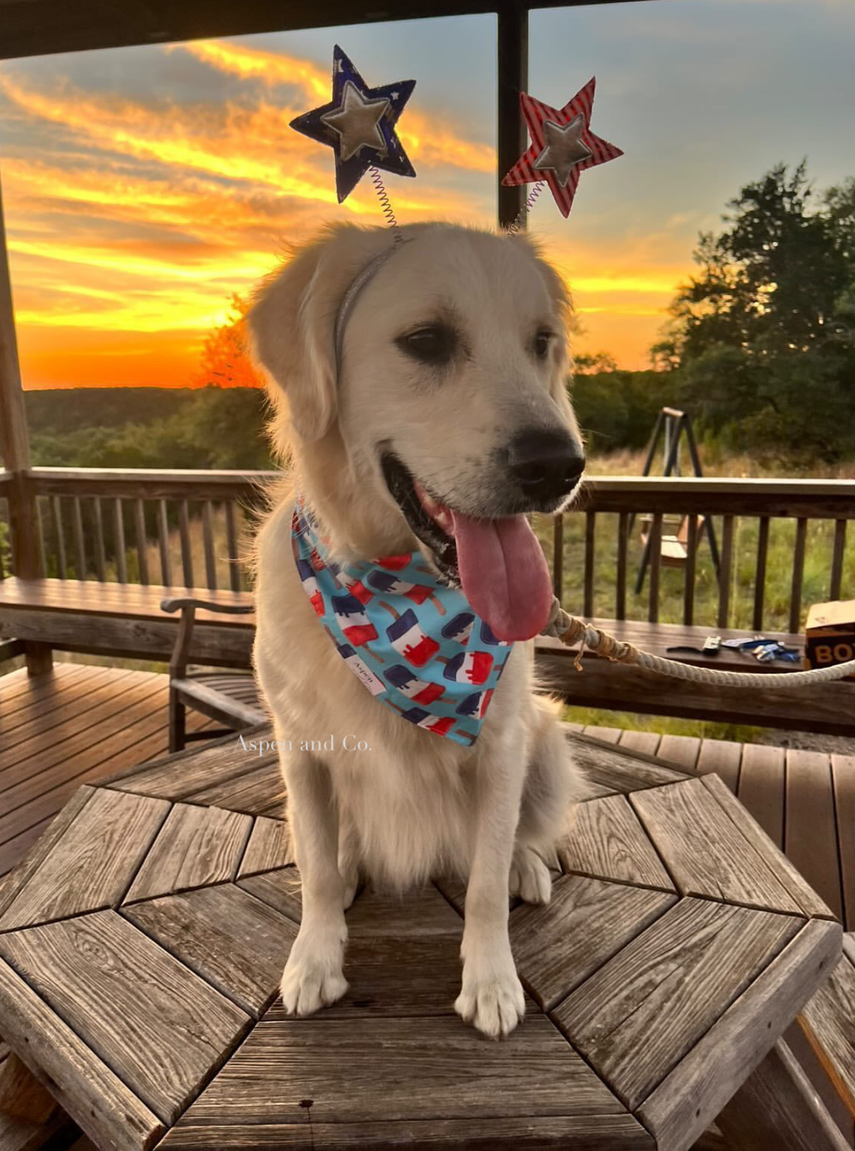 Golden Retriever wearing a patriotic popsicle dog bandana with red, white, and blue colors, sitting outside in front of a beautiful sunset.