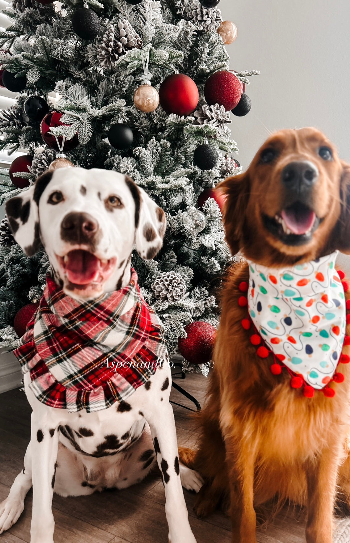 Christmas Lights - Holiday Dog Bandana