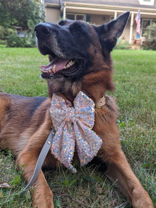 Fluffy Dog Collar Bow Tie - Sparkle (Sequins)