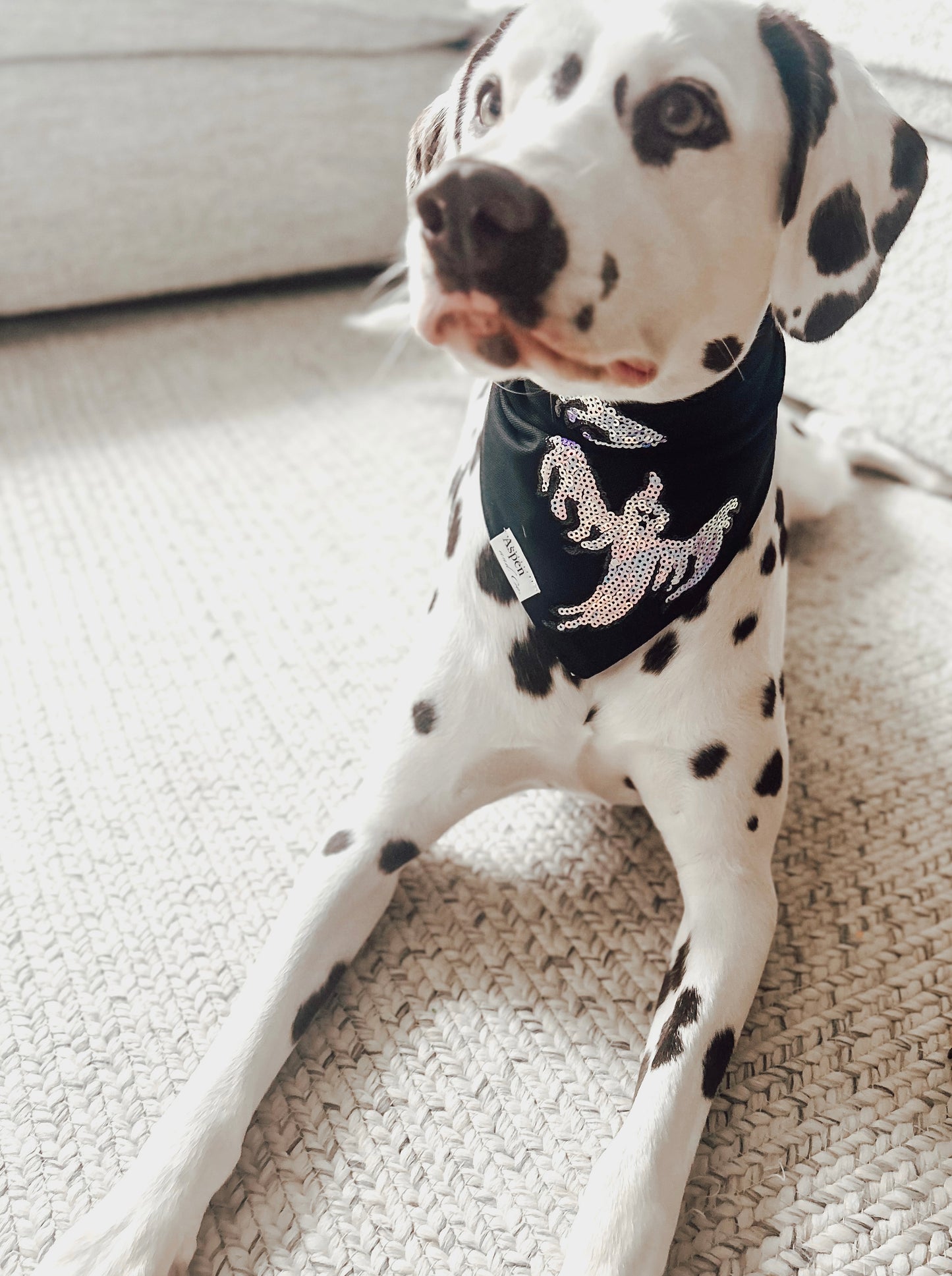 Embroidered Ghost - Halloween Dog Bandana