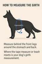 Diagram showing how to measure a dog's girth with text instructions.