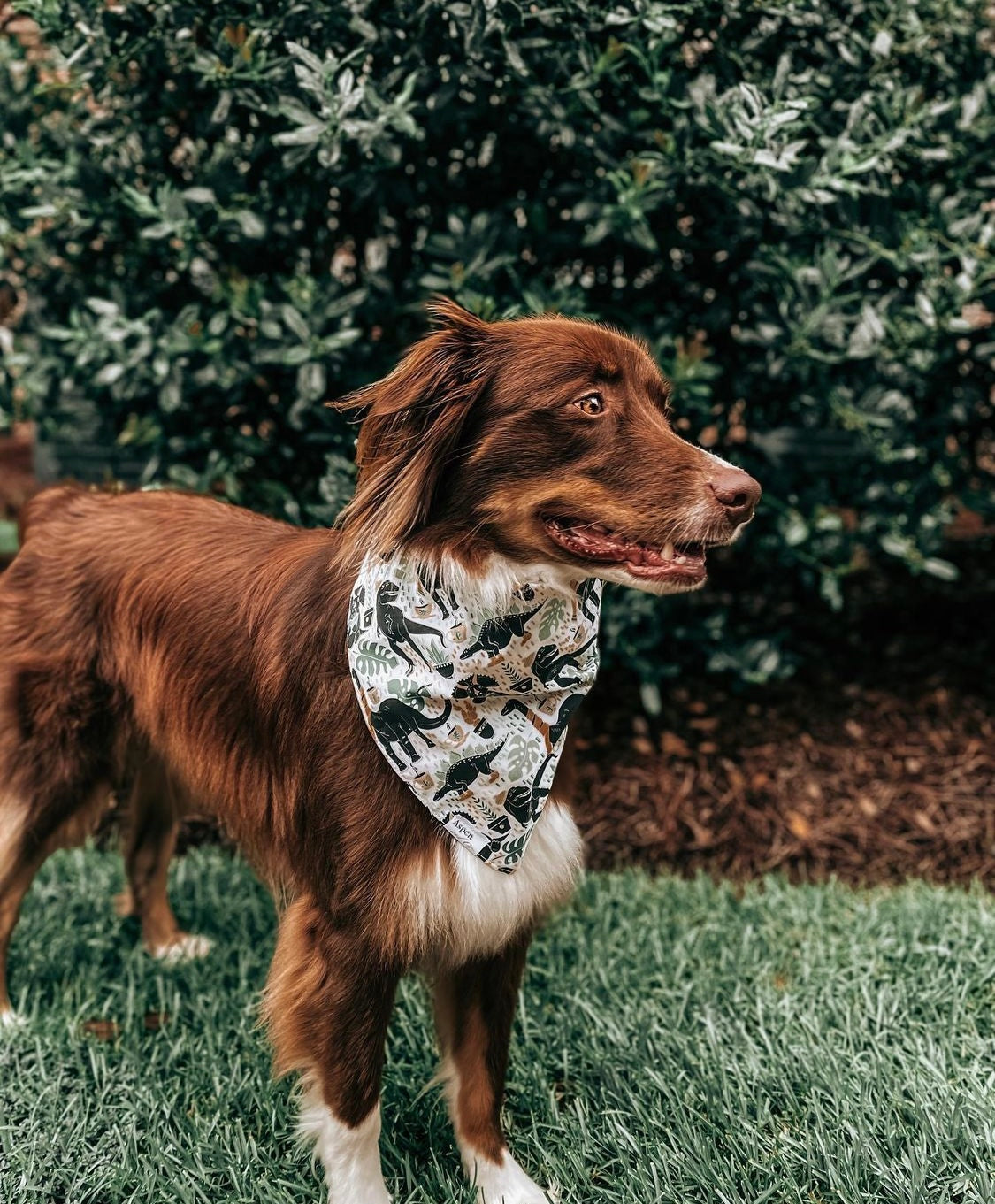 Dinosaur hot sale dog bandana