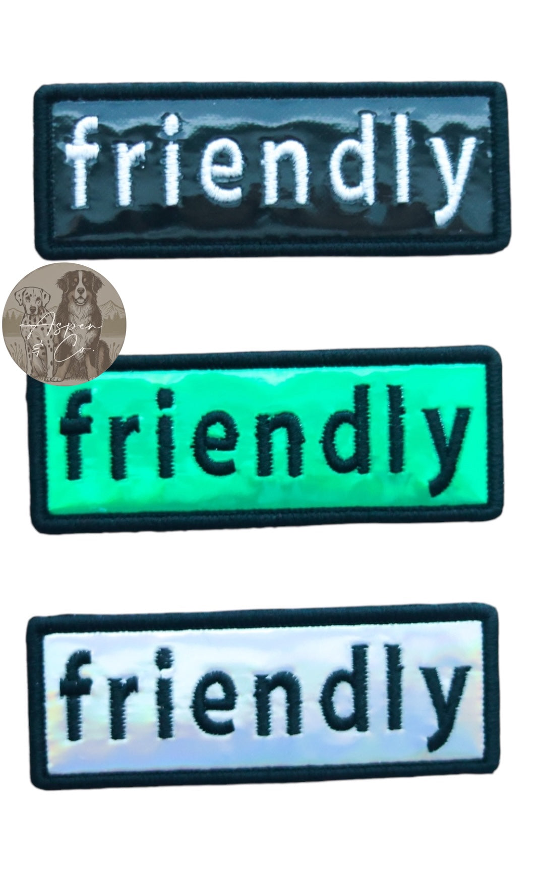 Holographic embroidered dog patch reading 'friendly' in lowercase letters, designed for use on collars, harnesses, vests, or capes. Ideal for therapy dogs, training, and pets, featuring a reflective finish and hook backing