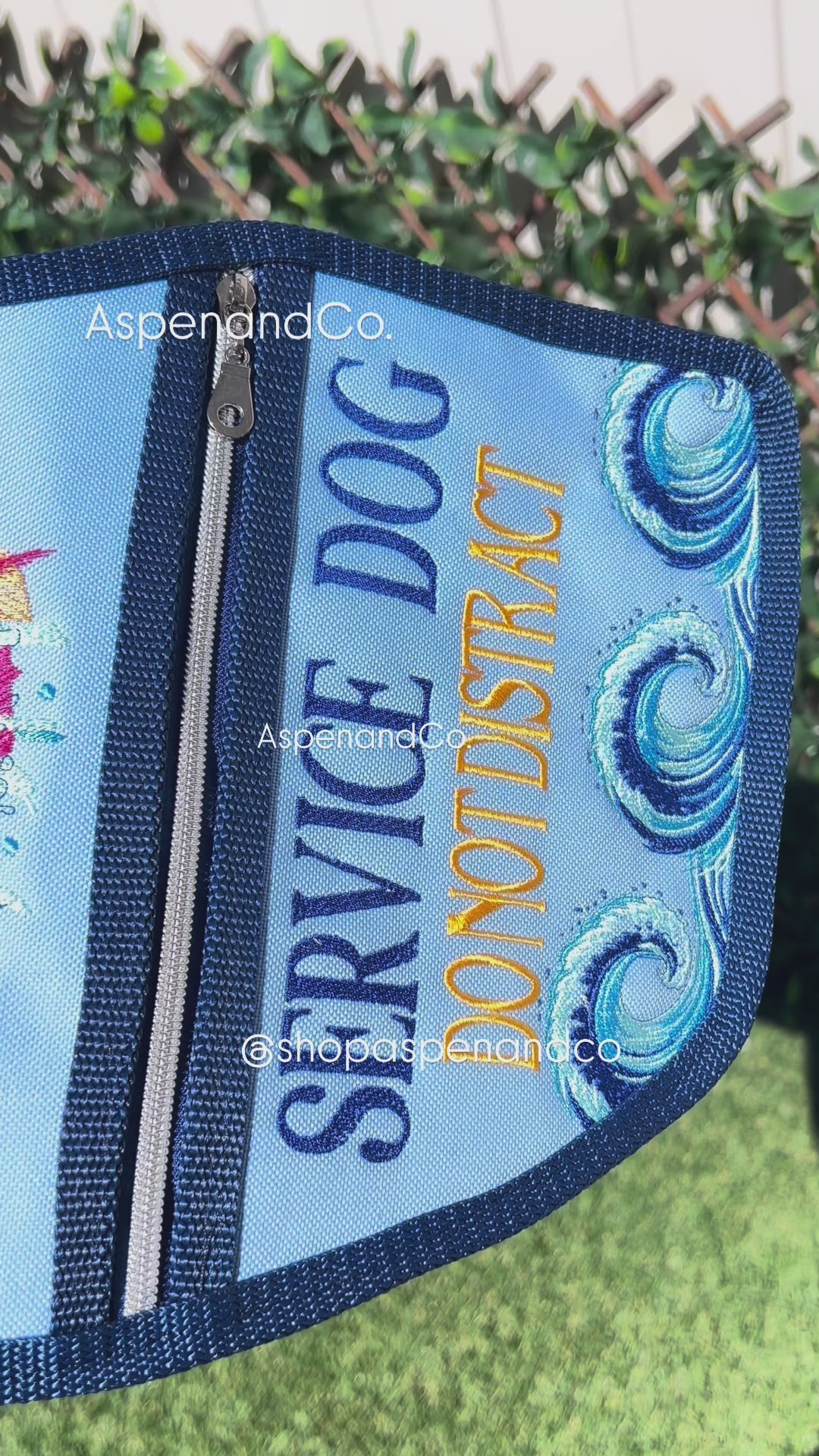 Aspen and Co. shark aquarium service dog vest video