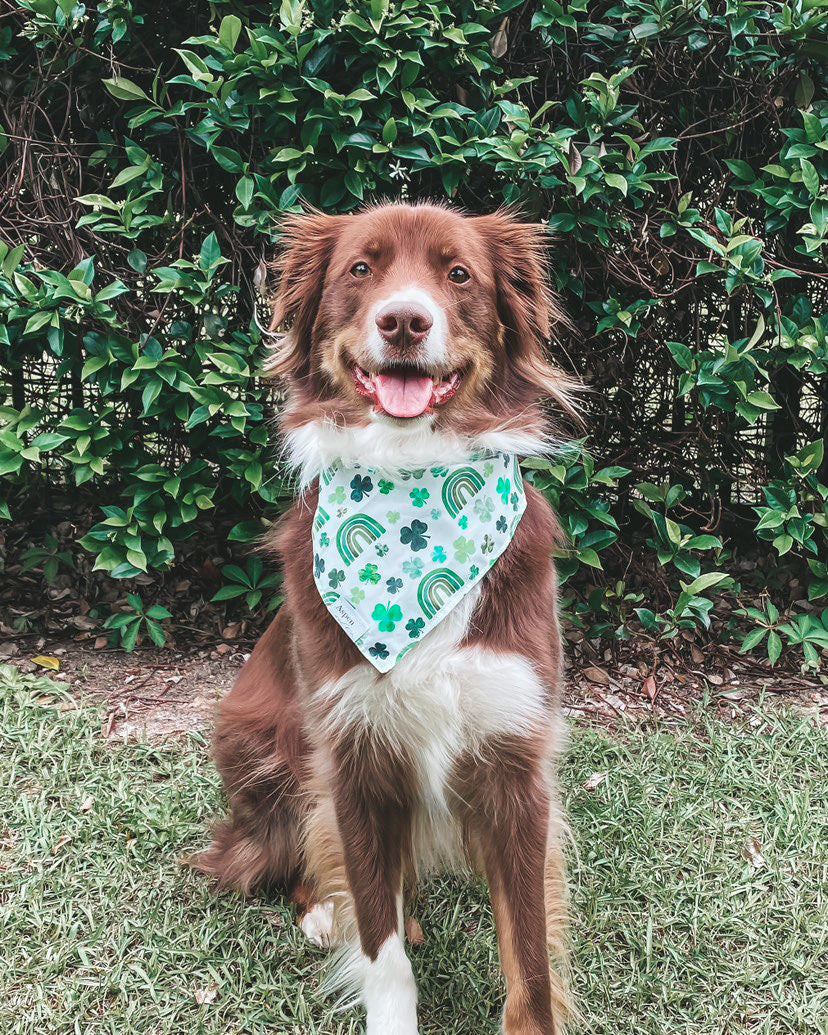 Lucky Charms - St. Patrick's Day Dog Bandana