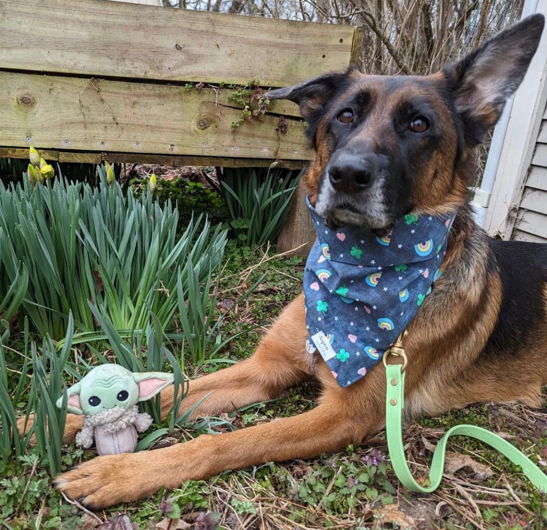 Lucky Pup - St. Patrick's Day Dog Bandana