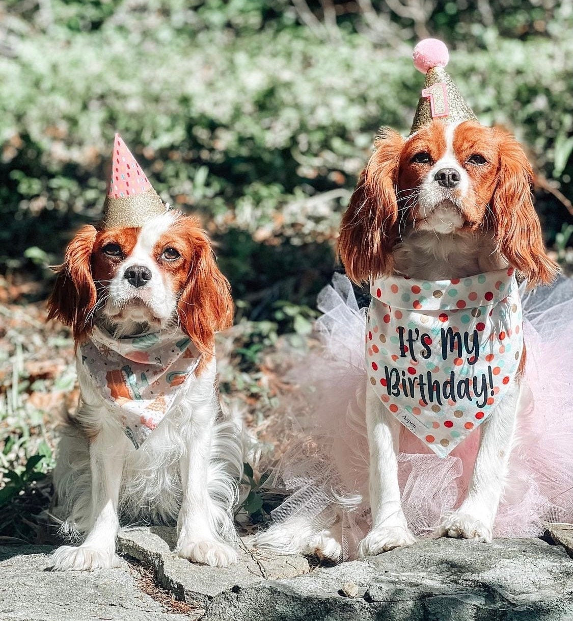 Birthday Dog Bandana - It's My Birthday