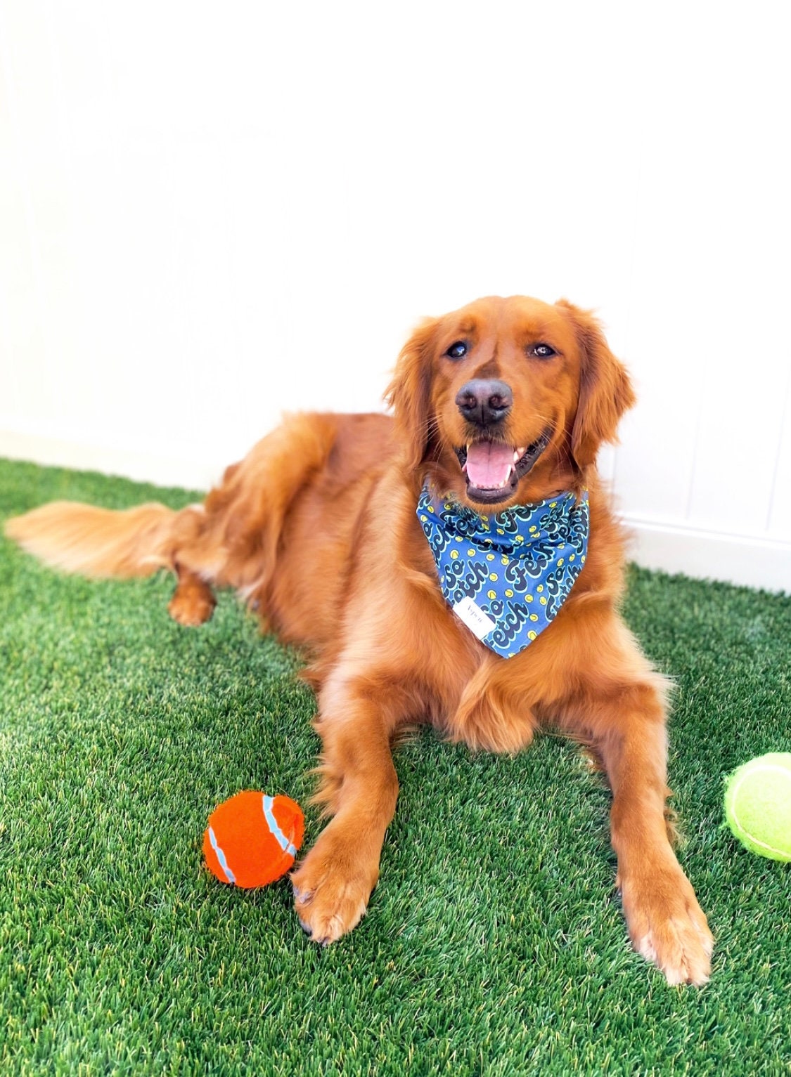 Dog Bandana - Fetch - Funny Dog Bandana, Tennis Balls Puppy Bandana, Dog Accessories, Dog Bow, Puppy Accessories, Dog Lover Gift
