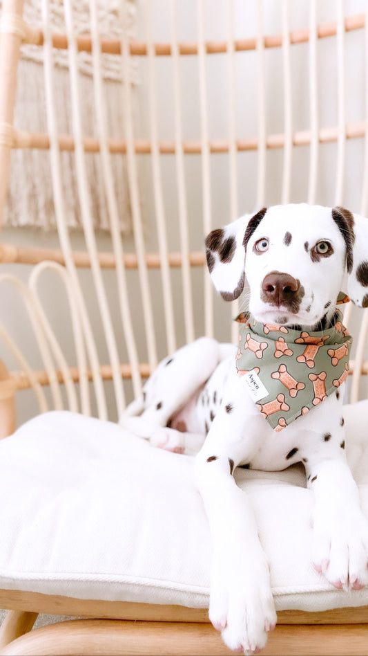Dog Bandana - Bones Day - Puppy Bandana, Food Bandana, Dog Bones and Treats, Dog Accessories, Puppy Accessories, Dog Lover Gift, Dog Scarf
